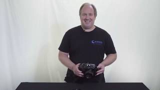 Sony A6400 Fantasea Housing Review [upl. by Tobye]