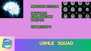 Nervous System Explanation HighYield Usmle STEP1 Part 1 usmle usmlepreparation UsmleSquad1 [upl. by Torhert]