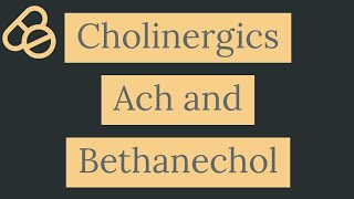 Cholinergic drugs  Acetylcholine and Bethanechol [upl. by Olemrac]