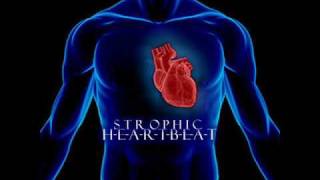 Trip Hop Music  HEARTBEAT Produced By Strophic [upl. by Perrins899]