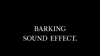 Energetic Canine Vocalizing in Barking Sound Performance Sound Effect [upl. by Jada]