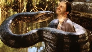 hombre se deja comer vivo por una anaconda comido vivo [upl. by Annirtak]