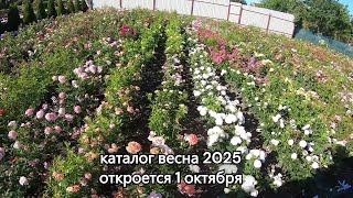 Каталог роз весна 2025 [upl. by Gardel408]