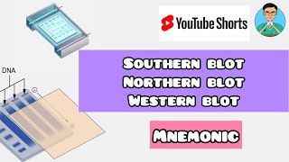 Southern blot vs Northern Blot vs Western blot mnemonic  Biochemistry  shorts [upl. by Adnael620]