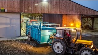 Visite de cet élevage laitier en Bretagne [upl. by Zenia]