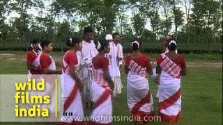 Jhumur  one of the most popular folk dances of Assam [upl. by Baer]