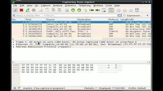 Wireshark Installing and capturing packets using a regular user [upl. by Adikram835]