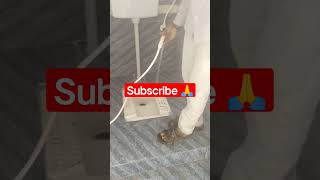 toilet flush fitting plumber construction comod bathroom [upl. by Eartha]