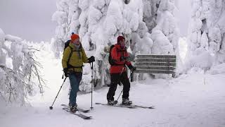 Winter Trip to Riisitunturi National Park at Ruka Kuusamo [upl. by Banwell76]