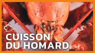 Comment cuire le homard 🦞  FoodCuisine [upl. by Lahcar]