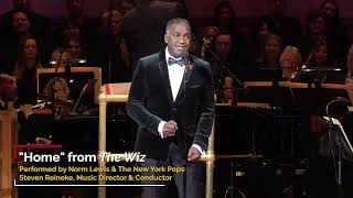 Merry Christmas from Norm Lewis and the New York Pops [upl. by Burta]