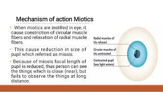 Drug acting on eye Miotics and Mydriatics [upl. by Raul916]