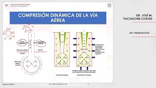 VILLAMEDIC  Fisiología respiratoria Mecánica de la respiración [upl. by Glen]