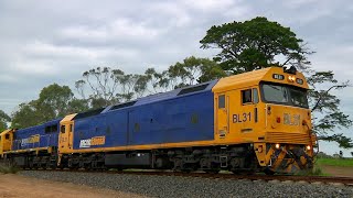 Gorae Victoria Grain Train  BL31 X50 8184  17th October 2024 [upl. by Pete470]