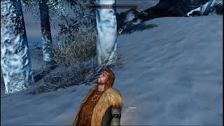 Skyrim Assassination Jarl Korir gets killed in Winterhold [upl. by Lynda777]