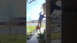 Ladder Fails [upl. by Free]