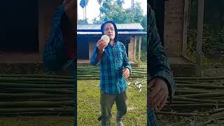 Assam ka organic food helthy youtube shortvideo viralvideo [upl. by Kobe]