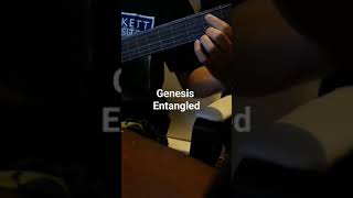 Genesis  Entangled acousticguitar genesis genesiscover genesisentangled [upl. by Carol-Jean]