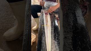 Awesome conger eel cutting [upl. by Arita]