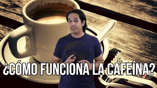 ¿Cómo funciona la cafeína [upl. by Usanis]