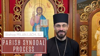 Parish Synodal Process [upl. by Grenville]