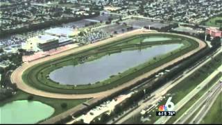 Jockey Sues Calder Race Course Over Accident  NBC 6 South Florida [upl. by Gwenn]