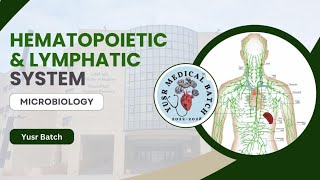 Microbiology L3 C1C2 Leishmaniasis and Trypanosmoa [upl. by Decker]