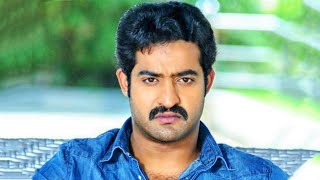 Dhammu l Jr NTR l Blockbuster Action Hindi Dubbed Movie l Trisha Krishnan Karthika Nair [upl. by Siroval898]