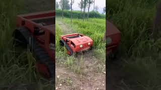 Lawn cutter weed removal remote control lawn mower weed killer lawn mower [upl. by Terb775]