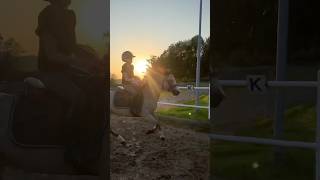 Första passet efter olyckan ❤️ shortsfeed chevalpassion trending chevaux shortsviral horse [upl. by Ydissac]