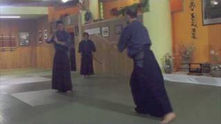 Katori Shinto 1° Kata Kenjutsu [upl. by Aisats]