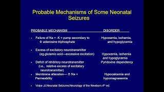 Neonatal Seizures DrAmjad Tarawneh Lecture Mutah University [upl. by Allison]