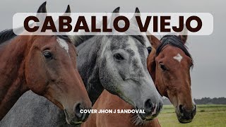 CABALLO VIEJO autor Roberto torres cover JJ Letra [upl. by Marjie]