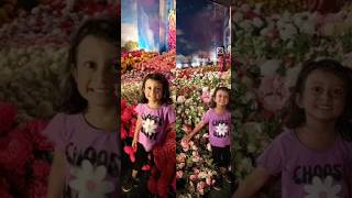 Flower show thrissur trendingshorts flowers [upl. by Lustick]