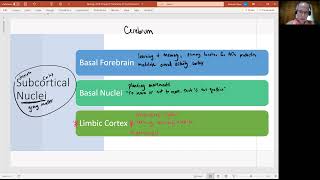 Biology 2010 Chapter 13 Anatomy of the Nervous System Subcortical Nuclei video 3 [upl. by Nekcerb928]