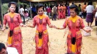 Toraja Dance in Wedding Party [upl. by Oiramed]