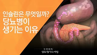 인슐린은 무엇일까 당뇨병이 생기는 이유  20101118351회 방송당뇨병의 날 기획  내 몸의 시한폭탄 당뇨를 잡아라 [upl. by Anatolio468]