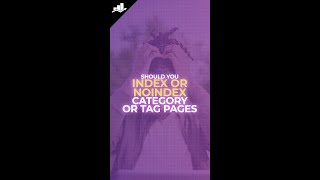 Index or NoIndex Category amp Tag Pages [upl. by Patricia]