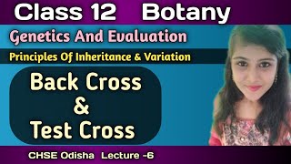 Class 12 Botany Back Cross And Test Cross Genetics amp Evaluation Chse Odisha [upl. by Akiehs796]