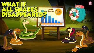 What If All Snakes Disappeared  The Importance of Snakes in the Ecosystem  The Dr Binocs Show [upl. by Lowndes]