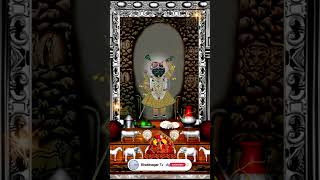 Aaj Ka Darshan Kartik Shukla Dwitiya 03 November 2024 Shrinathji ke Darshan [upl. by Woodley]