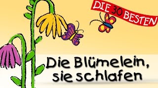 Die Blümelein sie schlafen  Die besten Schlaflieder  Kinderlieder [upl. by Billy]