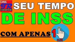 Como Saber Meu Tempo de Contribuição Com INSS [upl. by Stegman]