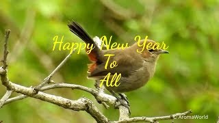 New Year Greetings amp Best Wishes 2024  Watch Till The End [upl. by Nyleuqcaj581]