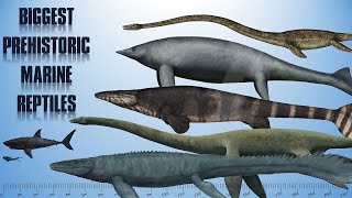 10 Biggest Sea Dinosaurs  Prehistoric Marine Reptiles [upl. by Rexanne268]