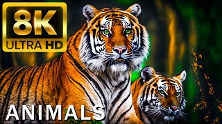 TOP 50 BEAUTIFUL ANIMALS  4K HDR 120fps Dolby Vision with Animal Sounds Colorfully Dynamic [upl. by Ikuy]