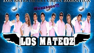 POR AMARTE GRUPO LOS MATEOZ [upl. by Gnemgnok610]