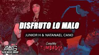 Disfruto Lo Malo  Junior H amp Natanael Cano Audio Oficial  quotESTRENOquotquot [upl. by Slein]