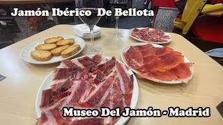 Museo Del Jamón Madrid  Jamón De Bellota [upl. by Nereil]