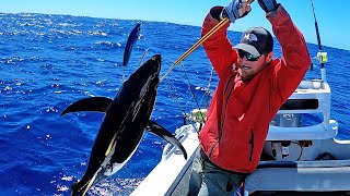 Tuna FRENZY Stickbaiting Yellowfin in 2000m of water catch clean cook [upl. by Gabie]